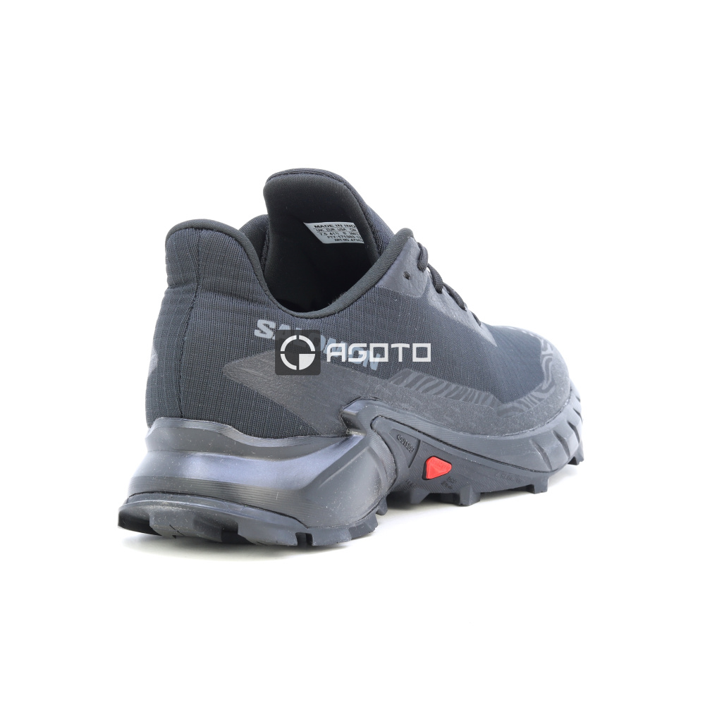 detail Wanderschuhe SALOMON Alphacross 5
