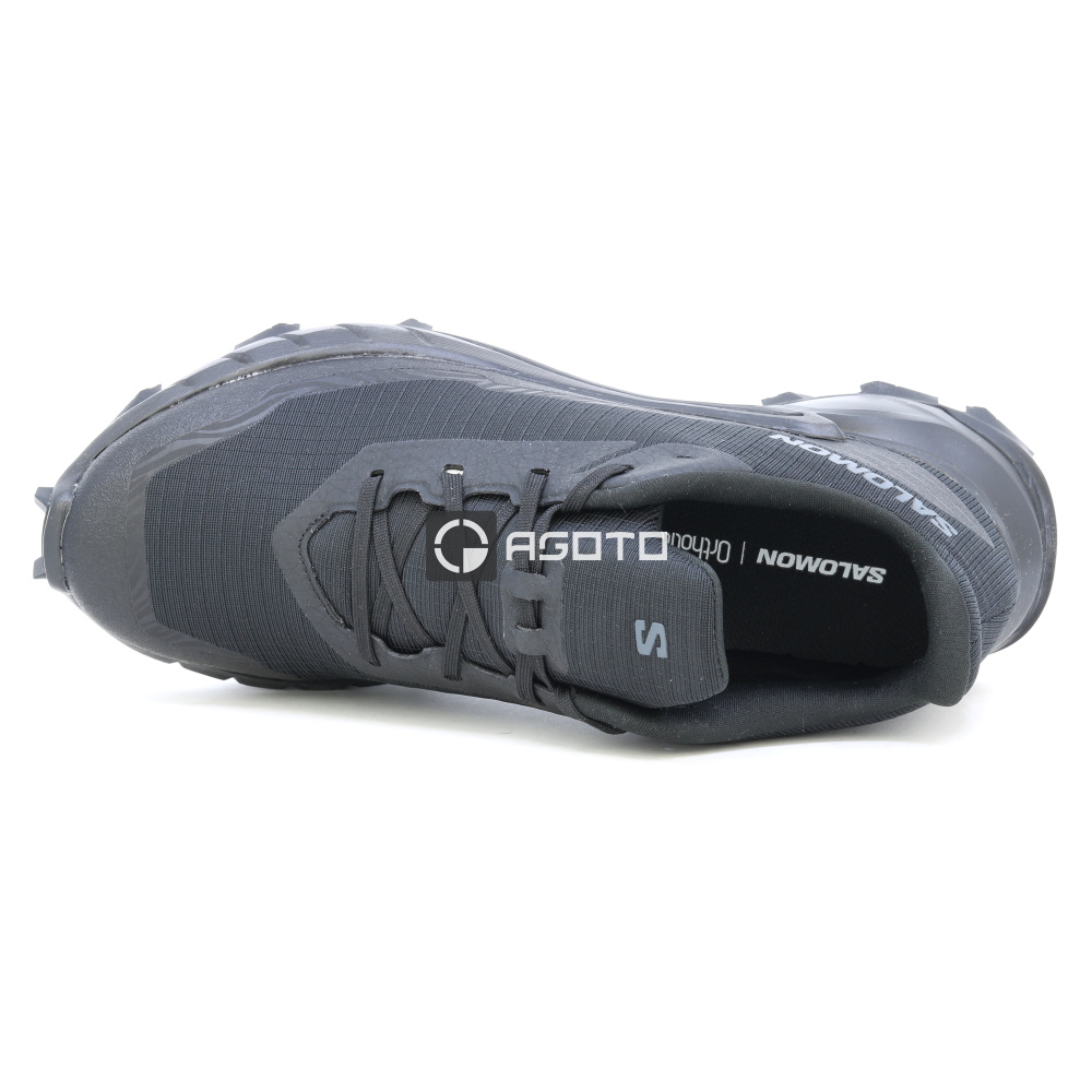 detail Wanderschuhe SALOMON Alphacross 5