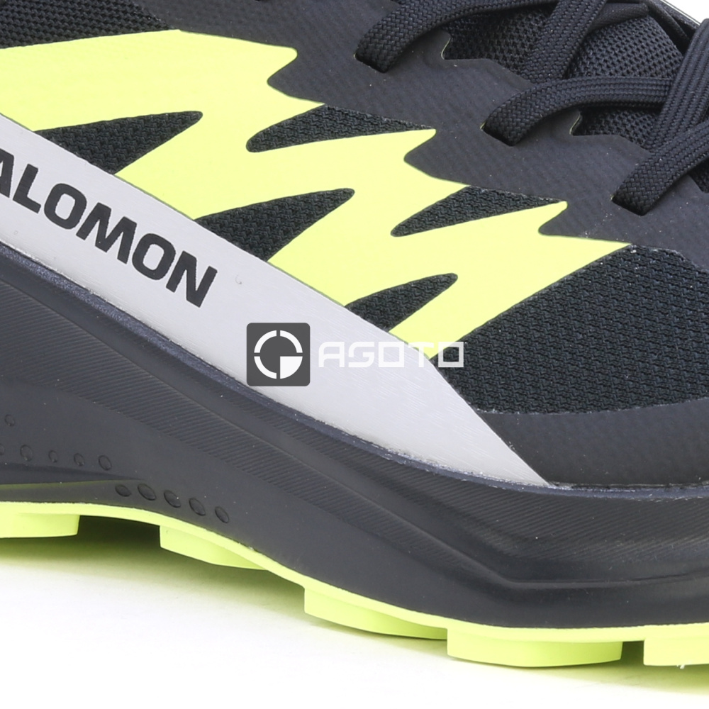 detail Wanderschuhe SALOMON Alphaglide GTX membrane Gore-Tex®