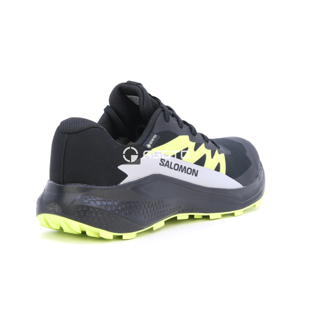 detail Wanderschuhe SALOMON Alphaglide GTX membrane Gore-Tex®