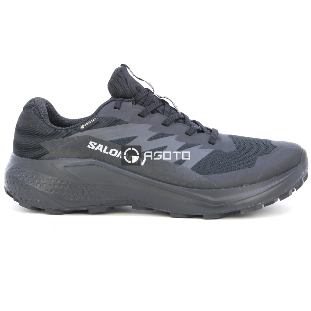 detail Wanderschuhe SALOMON Alphaglide Membran GTX Gore-Tex®
