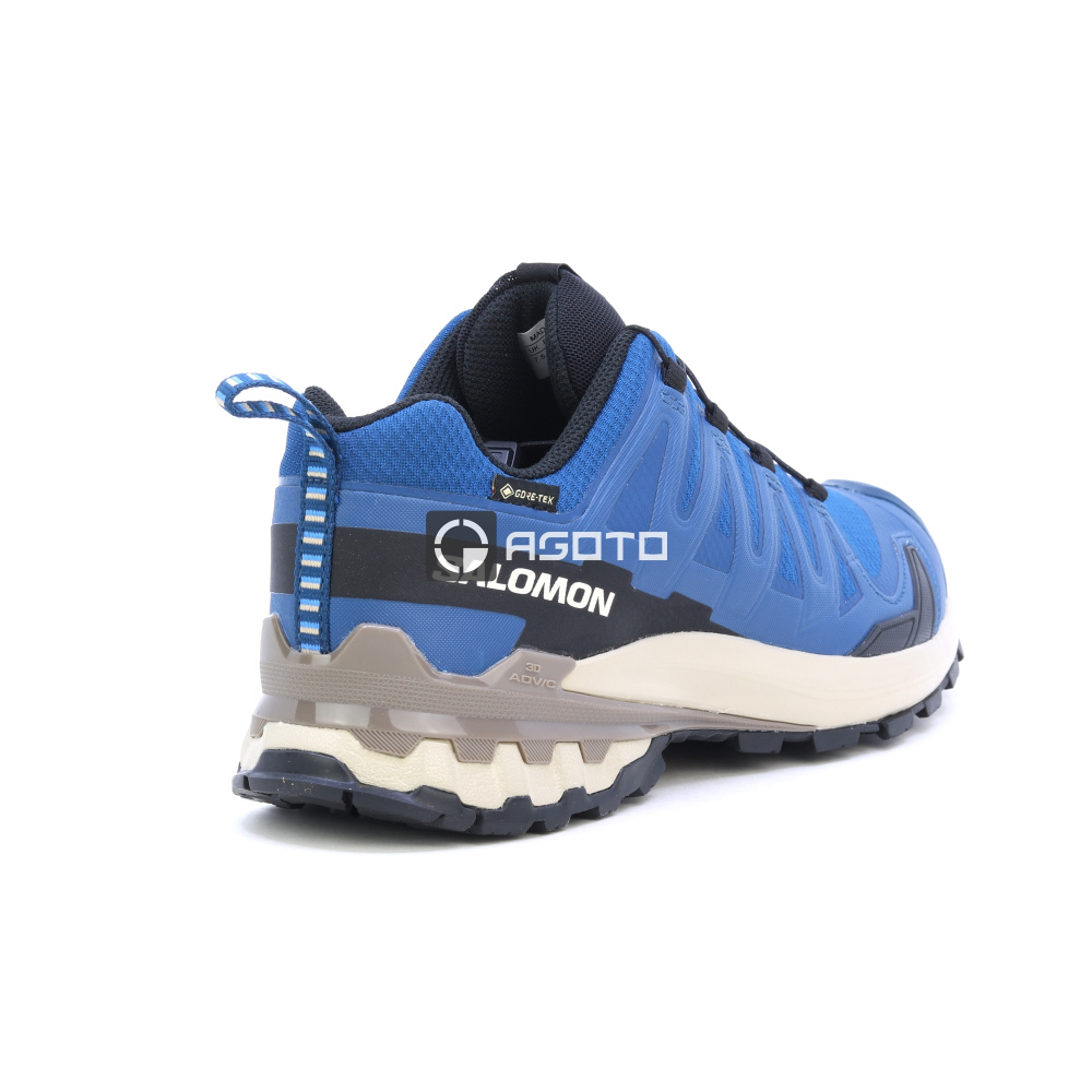 detail Wanderschuhe SALOMON XA Pro 3D V9 GTX GORE-TEX®