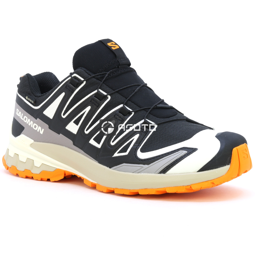 detail Wanderschuhe SALOMON XA PRO 3D V9 GTX