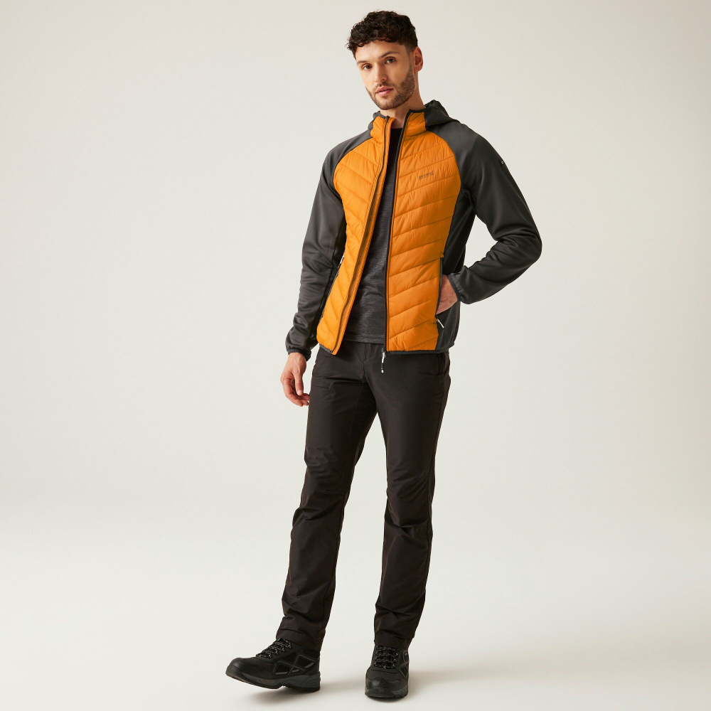 detail Jacke Herren REGATTA Andreson VIII Hybrid