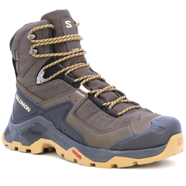 Wanderschuhe SALOMON Quest Element GTX