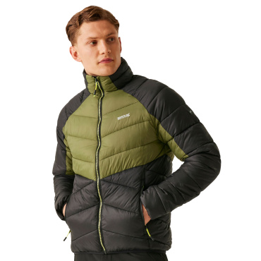 Jacke Herren REGATTA Dalent Winter