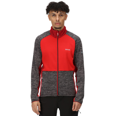 Herren-Sweatshirt REGATTA Coladane IV