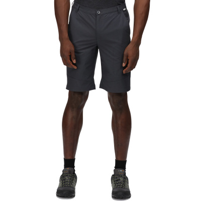 Herrenshorts REGATTA Highton short long