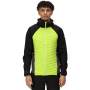 Vorschau Herrenjacke REGATTA Andreson VII Hybrid