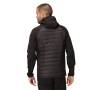 Vorschau Jacke REGATTA Andreson VIII Hybrid
