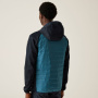 Vorschau Jacke REGATTA Andreson VIII Hybrid