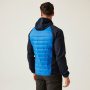 Vorschau Jacke REGATTA Andreson VIII Hybrid