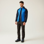 Vorschau Jacke REGATTA Andreson VIII Hybrid