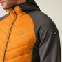 Vorschau Jacke Herren REGATTA Andreson VIII Hybrid