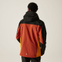 Vorschau Jacke Herren REGATTA Birchdale Isotex 10 000 mm