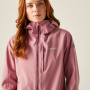 Vorschau Jacke Damen REGATTA Birchdale II Isotex 10 000 mm