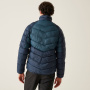 Vorschau Jacke Herren REGATTA Dalent Winter