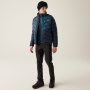 Vorschau Jacke Herren REGATTA Dalent Winter