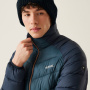 Vorschau Jacke Herren REGATTA Dalent Winter