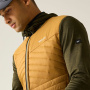 Vorschau REGATTA Andreson Hybrid beige Herren-Outdoorjacke für das ganze Jahr