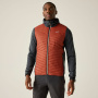 Vorschau REGATTA Andreson Hybrid rote Herren-Outdoorjacke