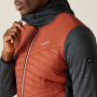 Vorschau REGATTA Andreson Hybrid rote Herren-Outdoorjacke