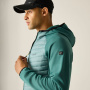Vorschau REGATTA Andreson Hybrid grüne Herren-Outdoorjacke für das ganze Jahr