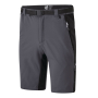 Vorschau Herren-Shorts DARE2B Disport II