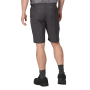 Vorschau Herren-Shorts REGATTA Delgado