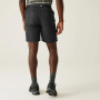 Vorschau REGATTA Leesville Shrt III Herren-Shorts